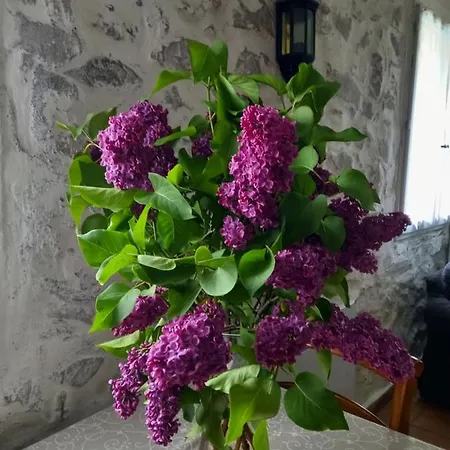 La Meridienne - D'hotes 3* Venterol (Alpes-de-Haute-Provence)