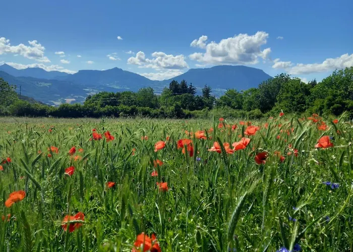 Couette-café La Méridienne Venterol (Alpes-de-Haute-Provence)
