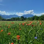 Bed & Breakfast La Meridienne - D'hotes Venterol (Alpes-de-Haute-Provence)