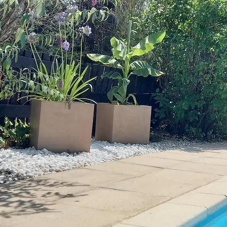 Bed & Breakfast La Meridienne - D'hotes Venterol (Alpes-de-Haute-Provence)