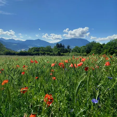 Bed & Breakfast La Meridienne - D'hotes Venterol (Alpes-de-Haute-Provence)
